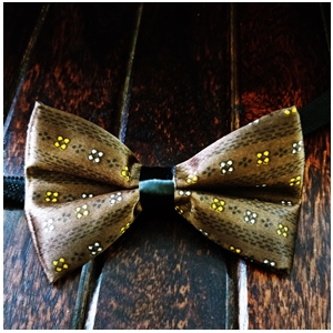 displaying image of Brown Fancypattern Bow Tie