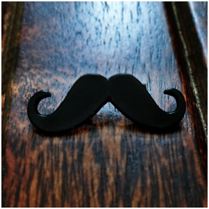 displaying image of Mustache Brooch