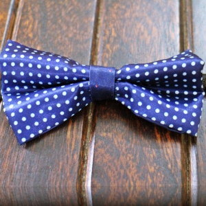 displaying image of White Small Polkadot Blue Bow Tie
